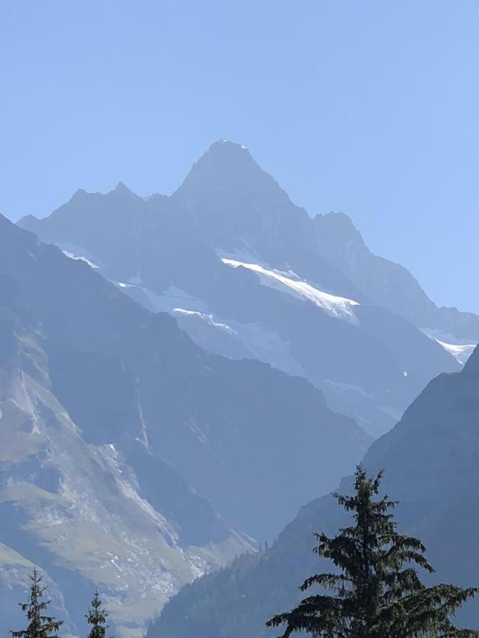 Romantisches Plaetzchen In Der Natur Grindelwald Exterior photo
