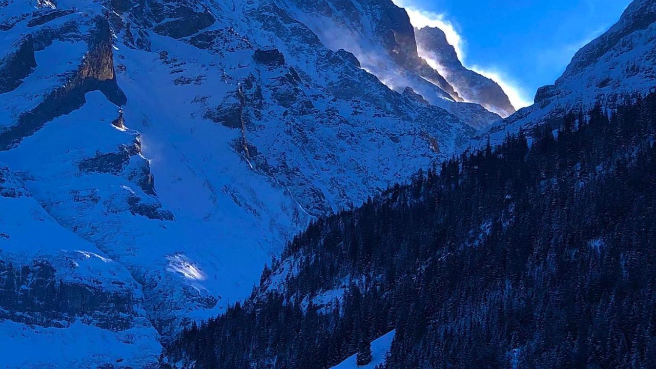 Romantisches Plaetzchen In Der Natur Grindelwald Exterior photo